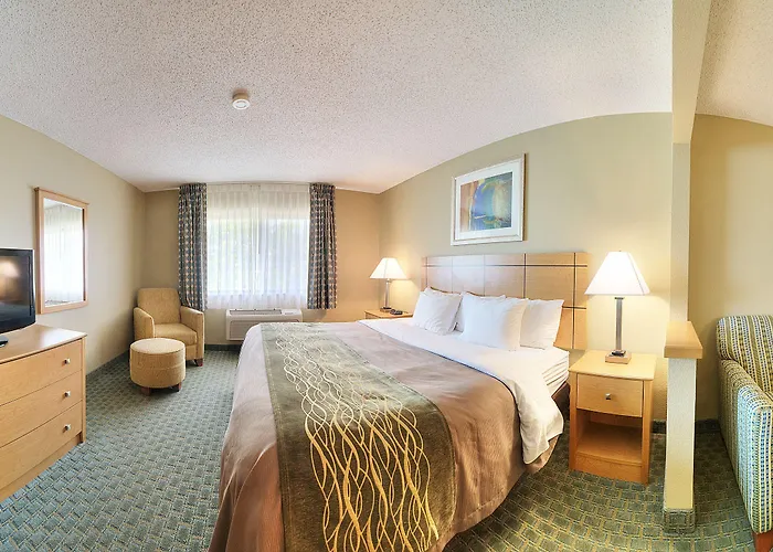 Comfort I-80 4*